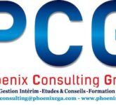 Logo Phoenix Consulting Group SN